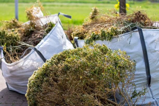 Best Construction Debris Removal  in Cottonwood, AL